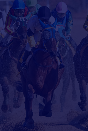 Horse racing