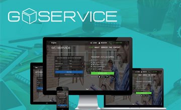 Go Service project screenshot